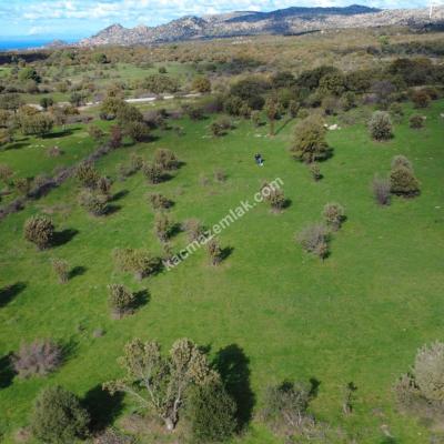 أرض للبيع برقم parcela 751 في قرية يايلاجيك في تشاناكالي إزينه