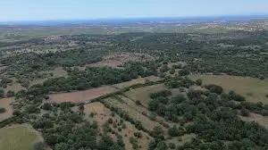 أرض للبيع برقم parcela 751 في قرية يايلاجيك في تشاناكالي إزينه